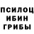 Галлюциногенные грибы Magic Shrooms Muxamediar Nurlaev