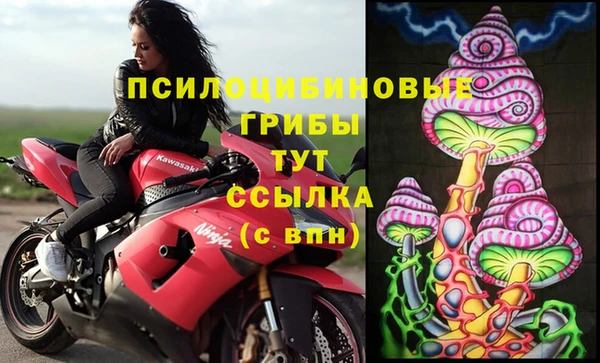 гидра Верея