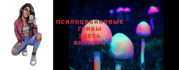 дмт Волоколамск