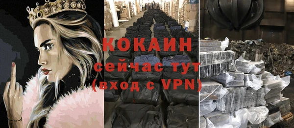 гидра Верея